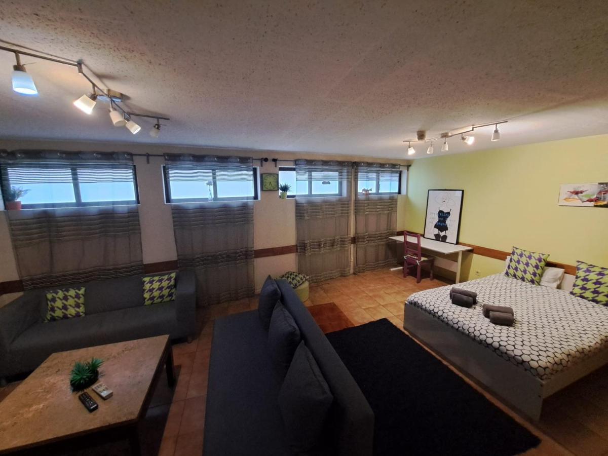 Apartment Spacious Economic Center Flat