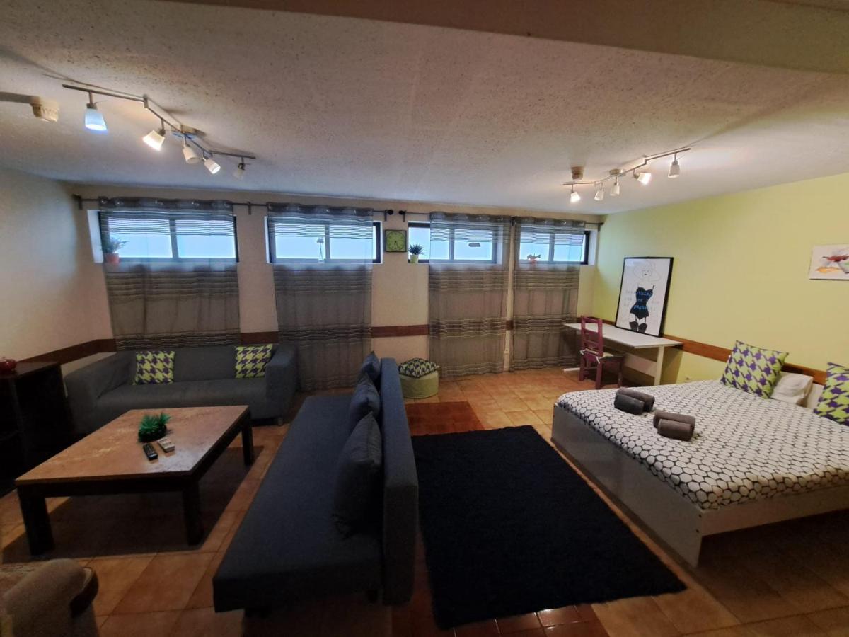 Spacious Economic Center Flat * Porto