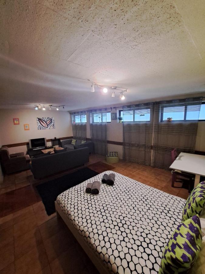 Spacious Economic Center Flat Apartment